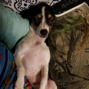 Meet your Posher, Adrianne